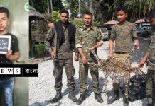 চিতা বাঘ মেরে পাচারের সময় গ্রেফতার পুলিশ অফিসারের ছেলে/The News বাংলা