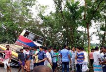 ভয়ঙ্কর বাস দুর্ঘটনা, দুটি বাসের মুখোমুখি সংঘর্ষ/The News বাংলা